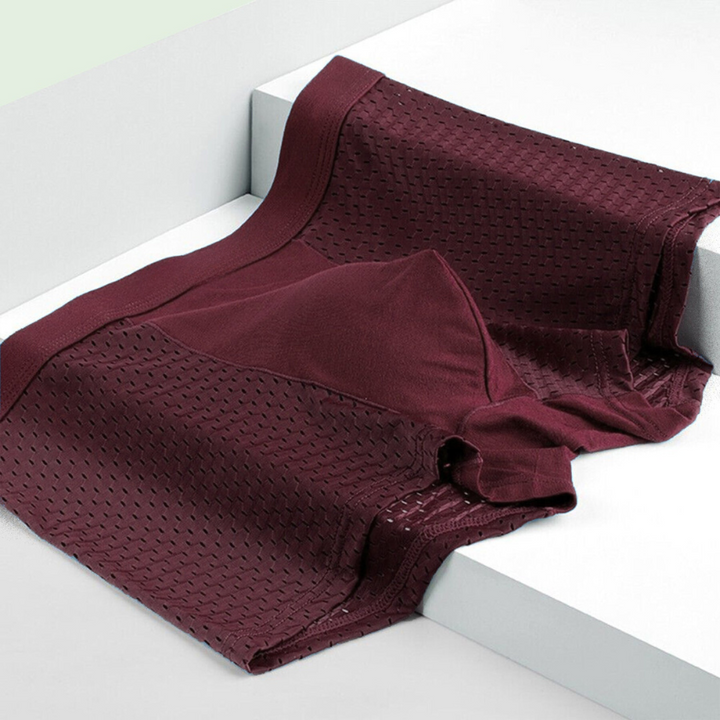 Bamboe Heren Boxershorts (Set van 10) - Daan