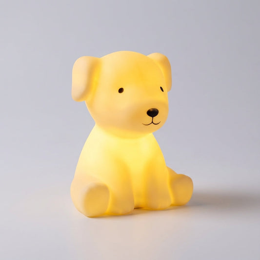 Soft Glow Decorative Lamp - Pupalo