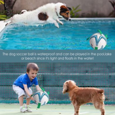 Dog Soccer Ball™️
