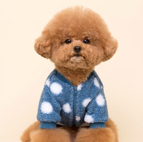 Pet Polka Dot Sweater™