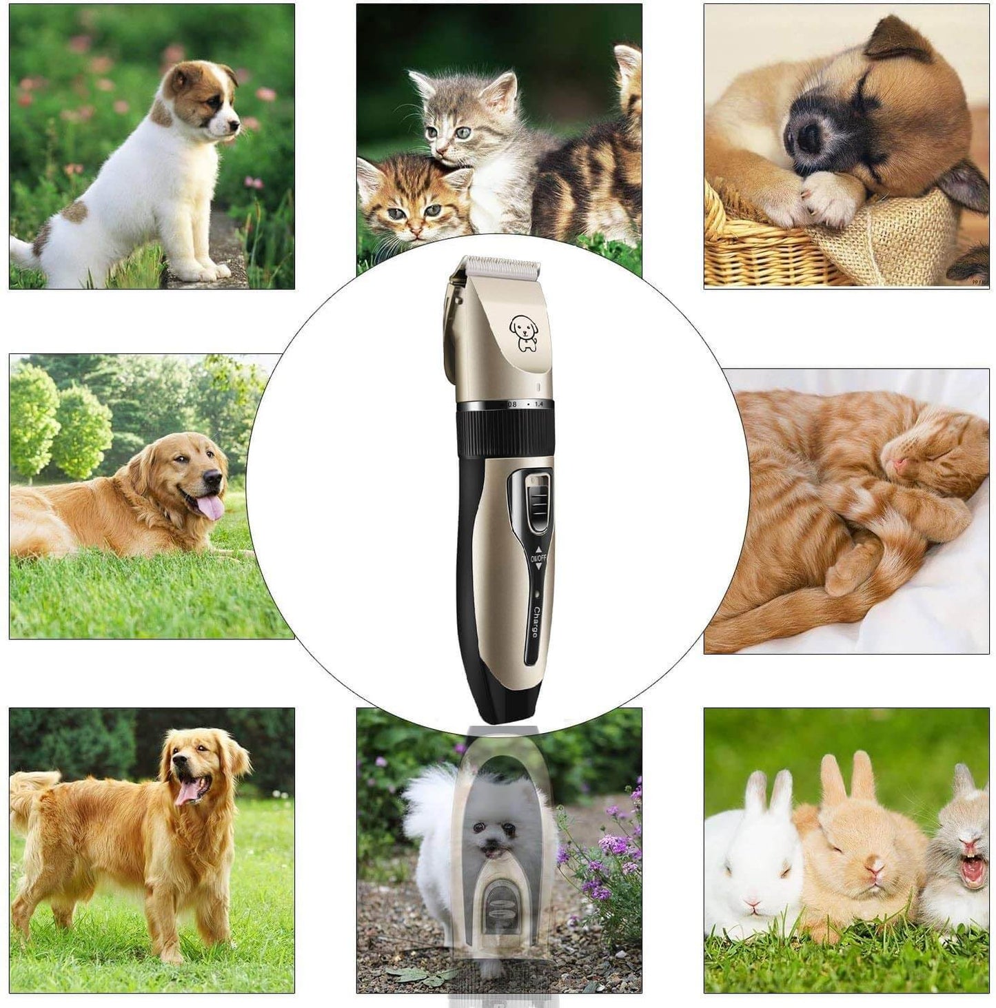 Doggo | Hondentrimmer