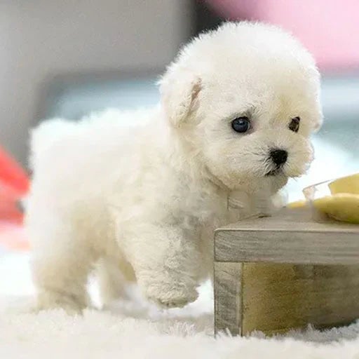 Interactieve knuffelhond met realistische bewegingen – voor kinderen & senioren