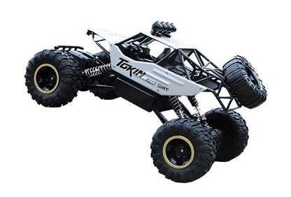 Offroad 4x4 RC-monstertruck voor kinderen en volwassenen