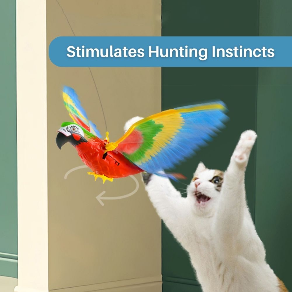 Interactief Kattenspeelgoed voor Plezier en Beweging - FeatherFlight™