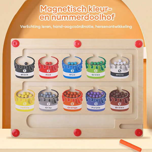Magnetisch Leerdoolhof voor Kleur en Getalherkenning - MazeMagic