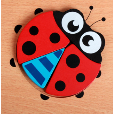 Houten leerpuzzel voor peuters – Ontdekkerset Montessori (1+1 GRATIS)
