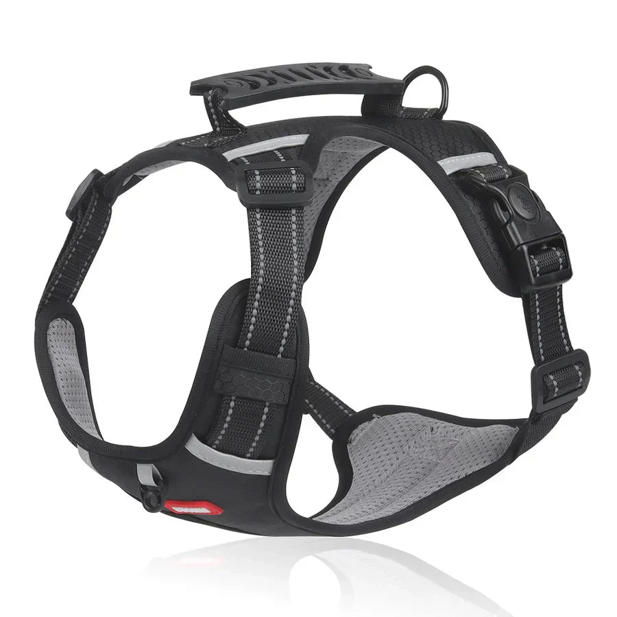 Stevig & Comfortabel Hondenharnas - ActivePup™