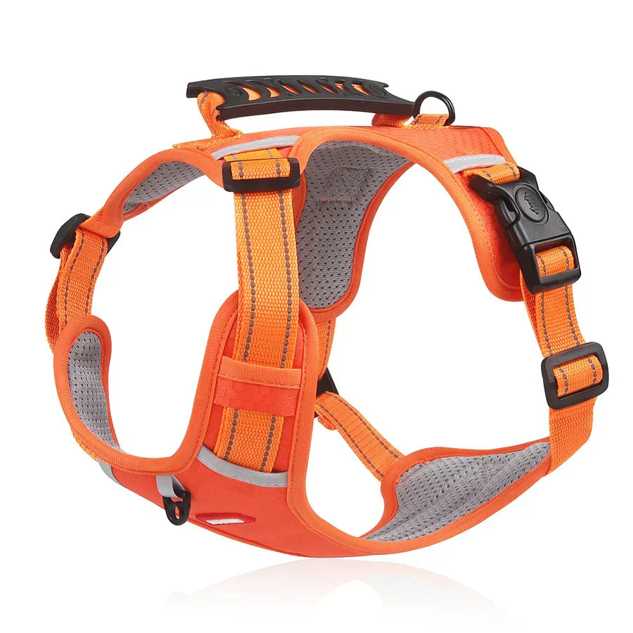 Stevig & Comfortabel Hondenharnas - ActivePup™