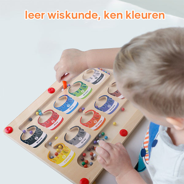 Magnetisch Leerdoolhof voor Kleur en Getalherkenning - MazeMagic