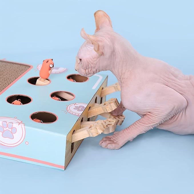 3-in-1 Interactief Kattenspeelgoed - WhiskerPlay