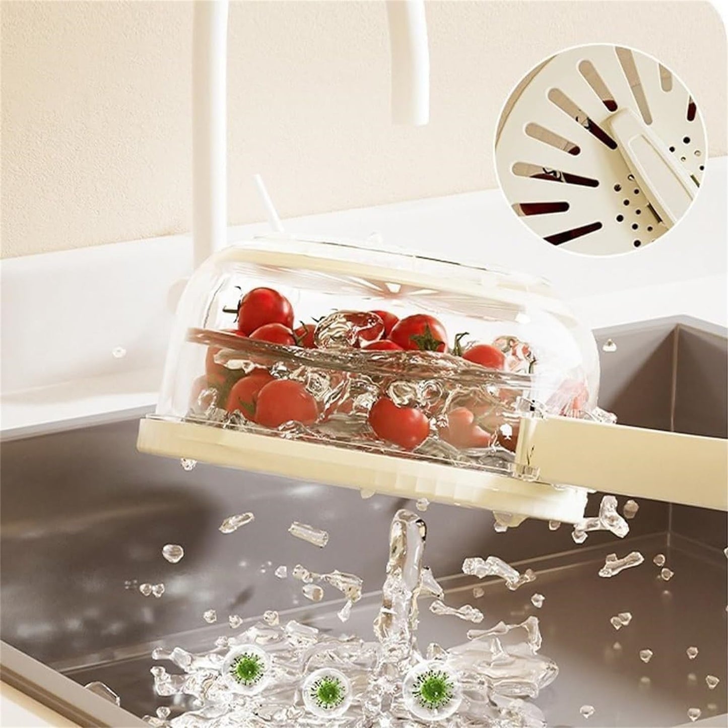 Fruit- en Groente Vershoud Container - FreshSeal