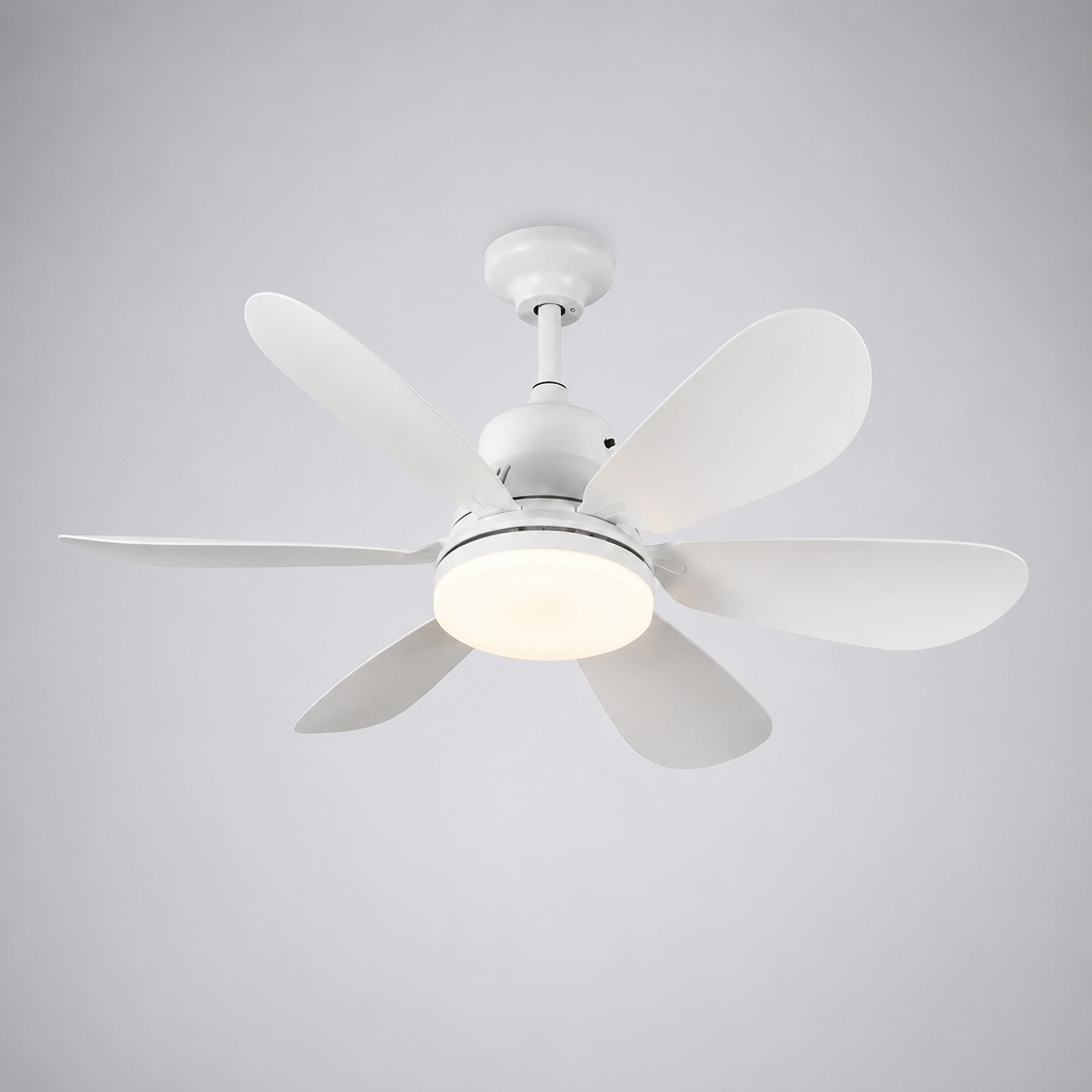 Wit