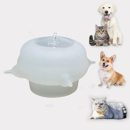 Compacte Melkkom voor Kittens - KittySip