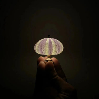 DIY Zee-egel Nachtlampje - LumiUrchin