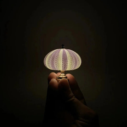 DIY Zee-egel Nachtlampje - LumiUrchin