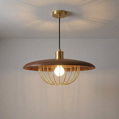 Adjustable Height Ceiling Light -  Skylure