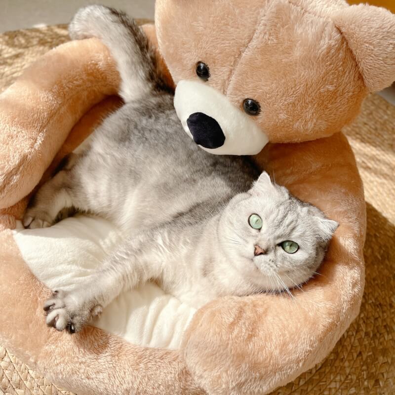 Verstelbare Knuffelbeer - SnuggleBear