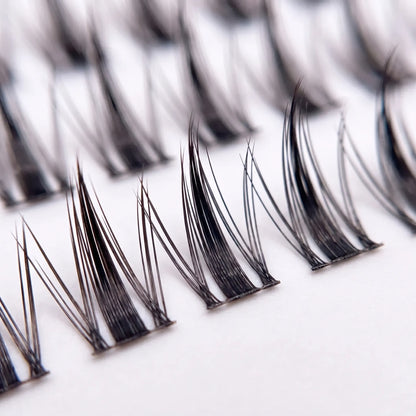Glue-Free Lash Clusters - Celiara
