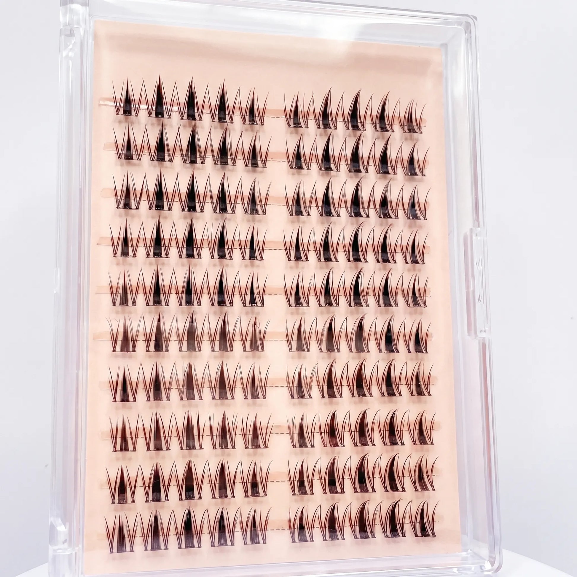 Glue-Free Lash Clusters - Celiara