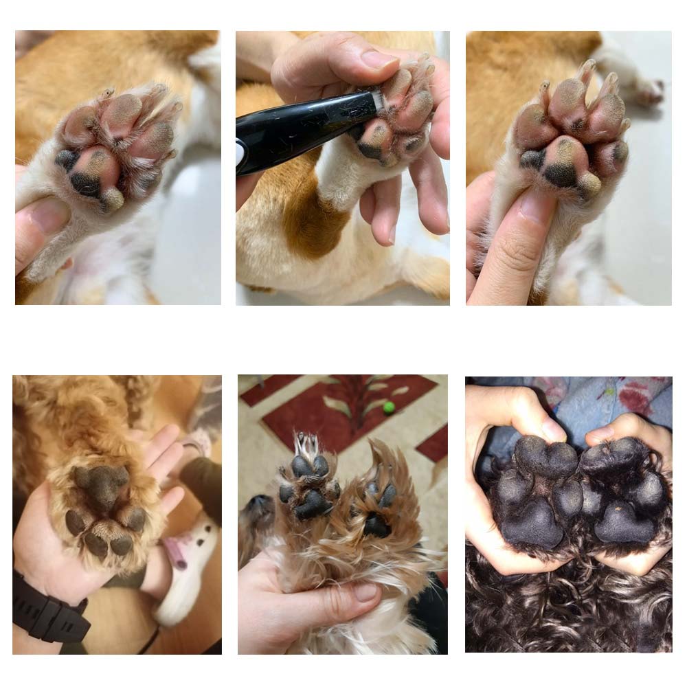 Verzorgende Huisdier Haartrimmer - PawPerfect