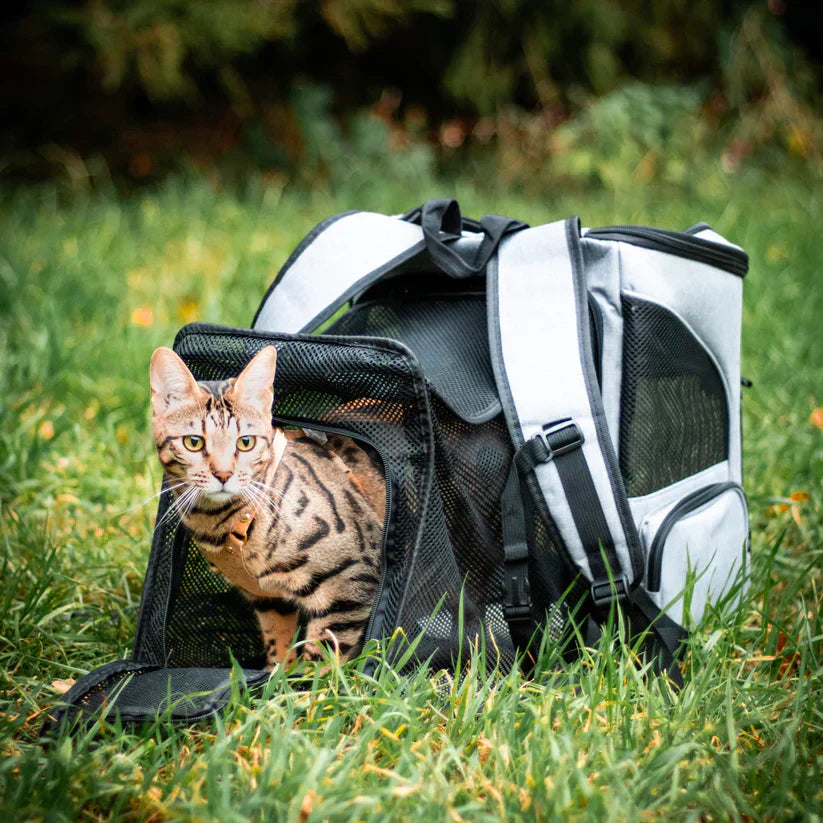 Kattenrugzak - PurrPack™