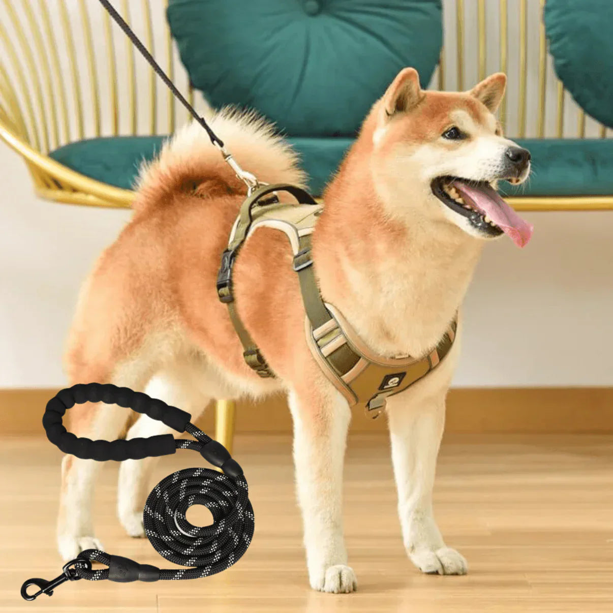 Anti-Trek Hondentuig met Comfortvoering – PullFree