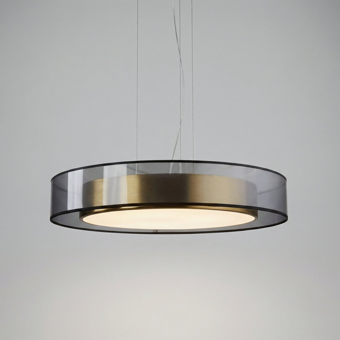 Modern Suspended Light Fixture -  Roselume