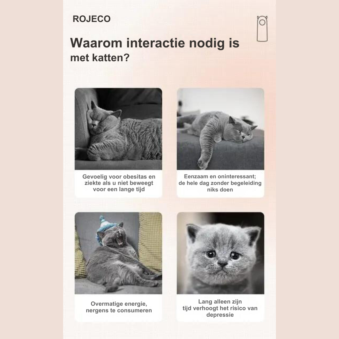 Interactief Laser Kattenspeelgoed - LaserPaw