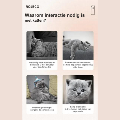 Interactief Laser Kattenspeelgoed - LaserPaw