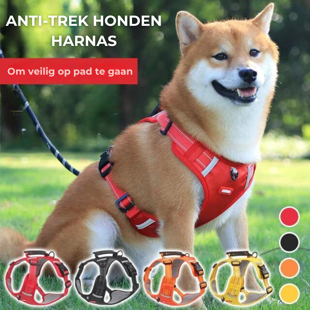 Stevig & Comfortabel Hondenharnas - ActivePup™