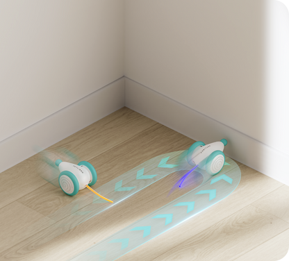 Het Ultieme Kauwbestendige Kattenspeelgoed - WhiskerPlay