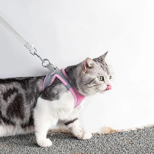 Verstelbaar Kattenharnas met Lijn – WhiskerWander