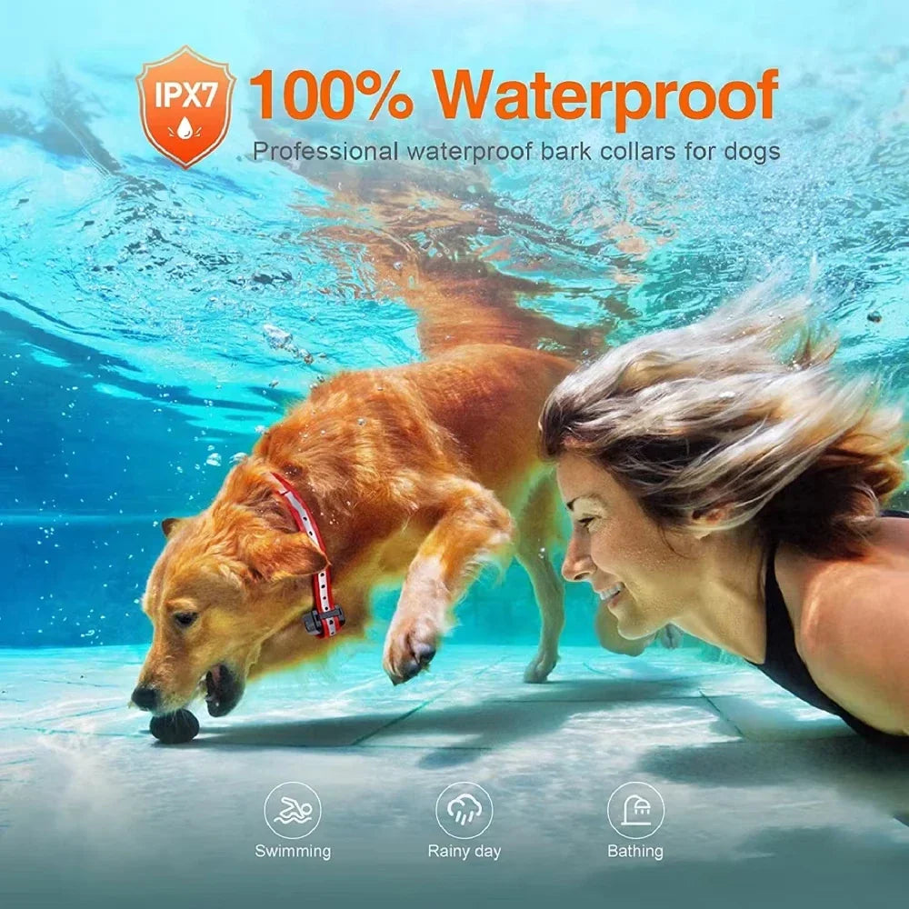 Oplaadbare Elektrische Hondentrainingshalsband met Afstandsbediening & 1000m Bereik – PetControl