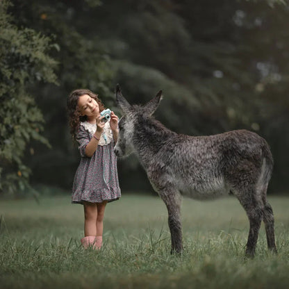 Kindercamera met foto- en video-opname – robuust & makkelijk te bedienen