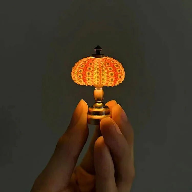 DIY Zee-egel Nachtlampje - LumiUrchin
