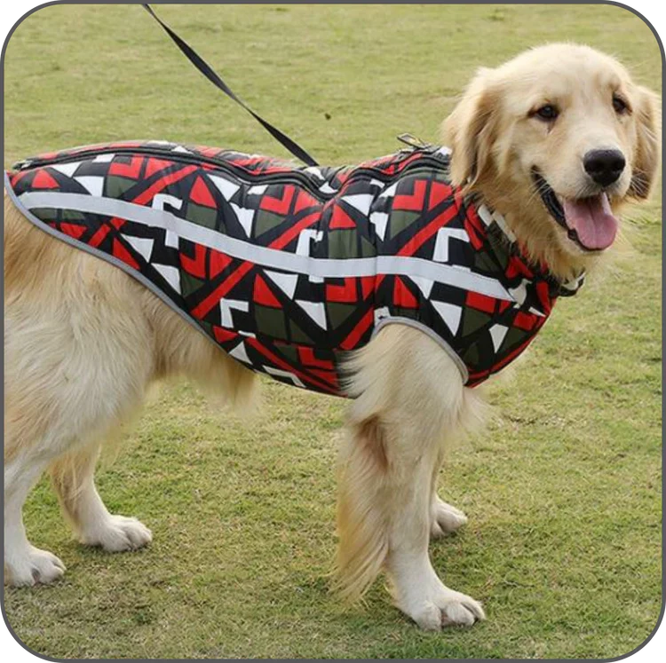 Waterdichte Winterjas voor Honden - StormGuard