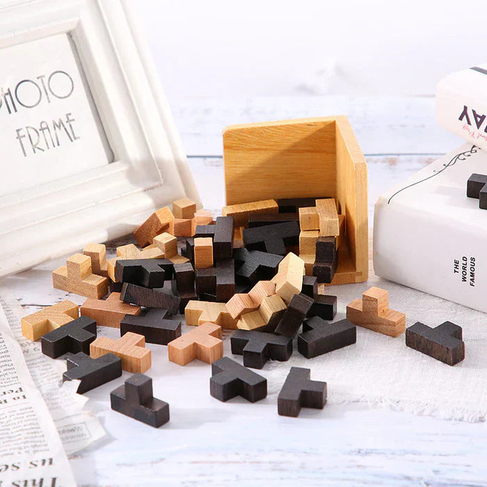 3D Houten Breinbreker - PuzzleMaster
