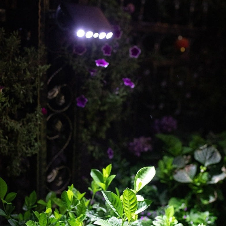 Zonne- buitenverlichting met bewegingssensor – Lumina