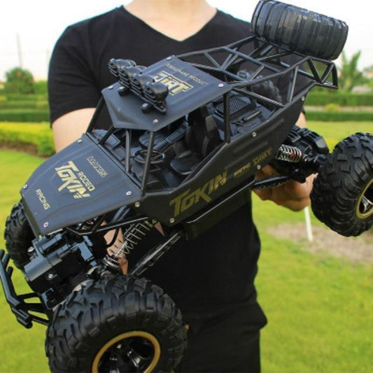 Offroad 4x4 RC-monstertruck voor kinderen en volwassenen