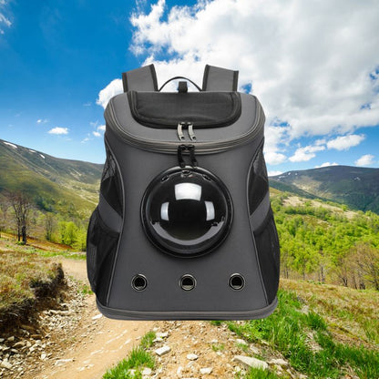 Katten Reistas - CatTrekker