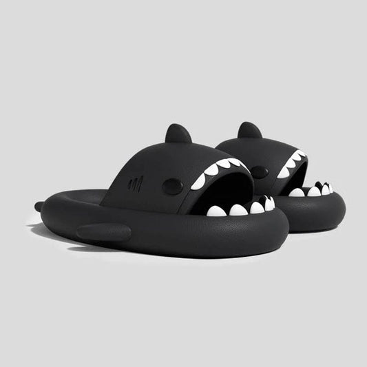 SharkSlides™ | 50% korting