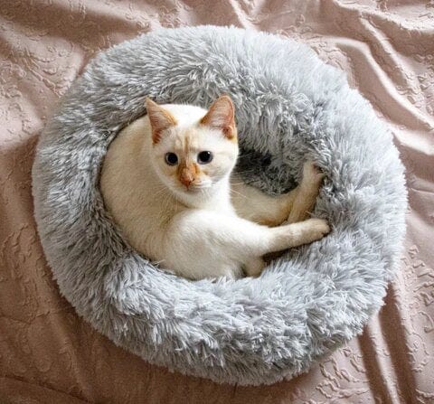 Fluffy Calming Bed