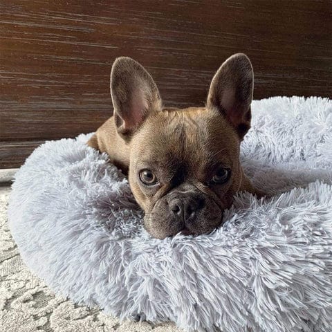 Fluffy Calming Bed
