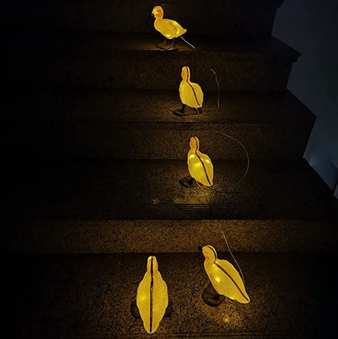 5 in 1 Solar Duck Light™