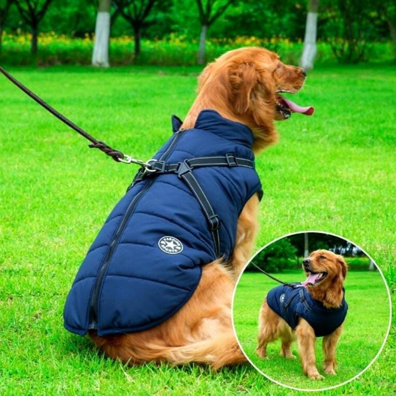 BuddyPro™ - Waterdichte hondenjas