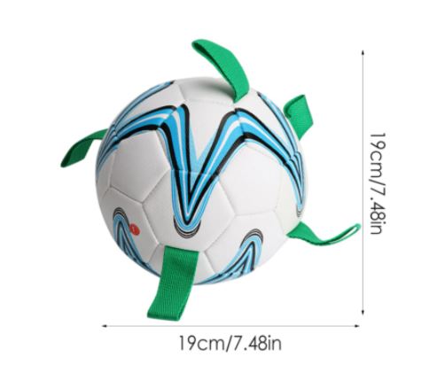 Dog Soccer Ball™️
