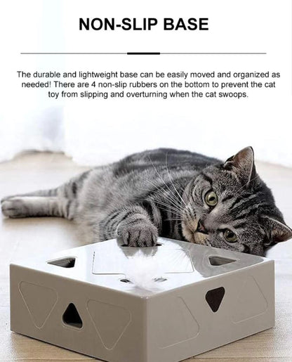 Cat Toys Box™️