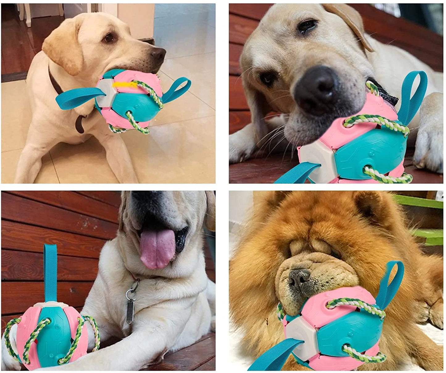 Dog Chewing Ball™