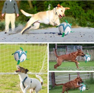 Dog Soccer Ball™️