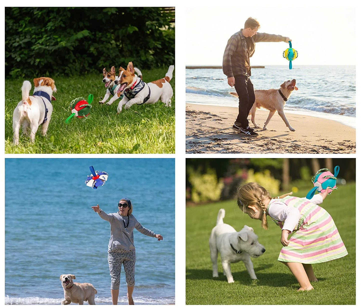 Dog Chewing Ball™